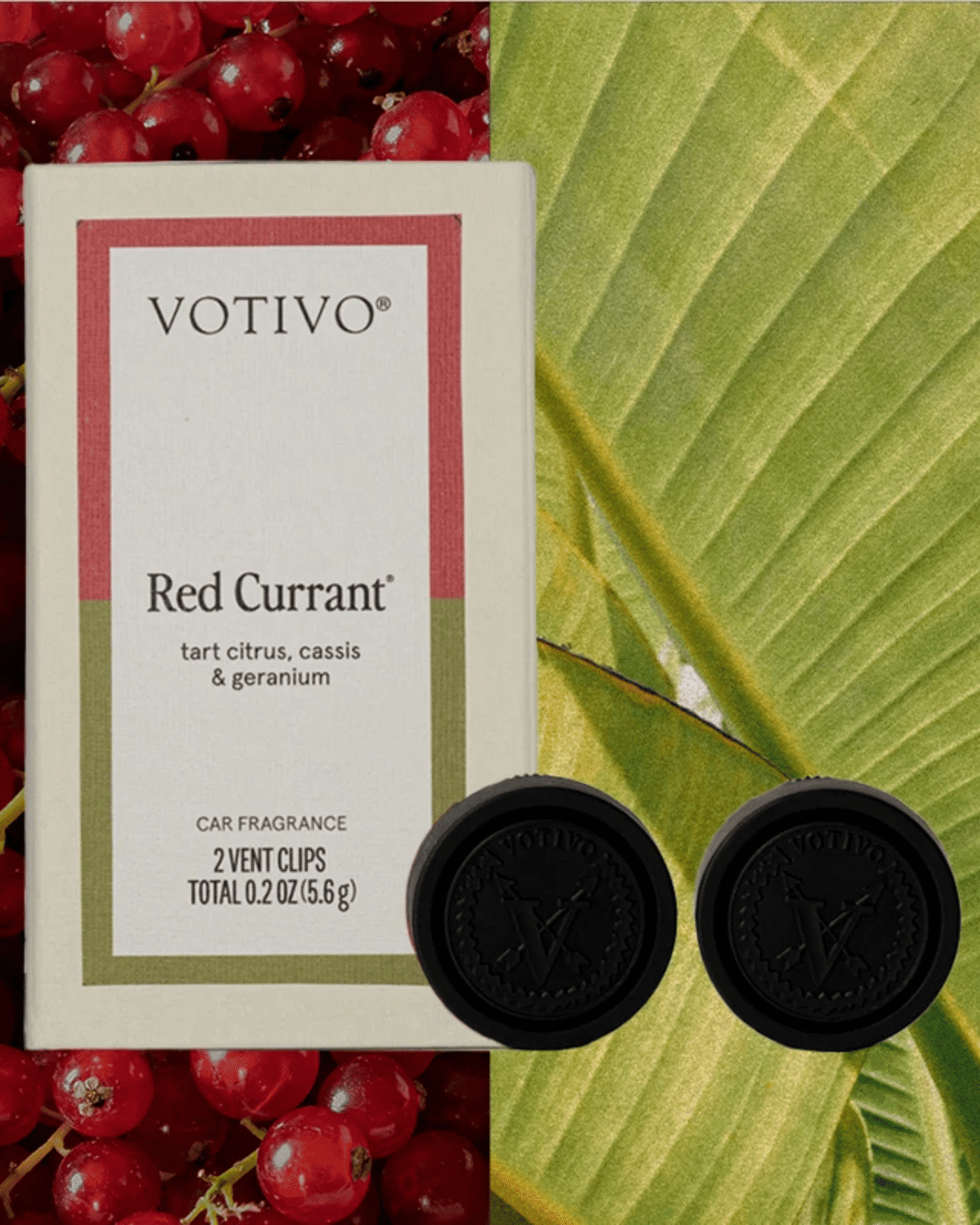 Red Currant Car Fragrance - 6 Pack