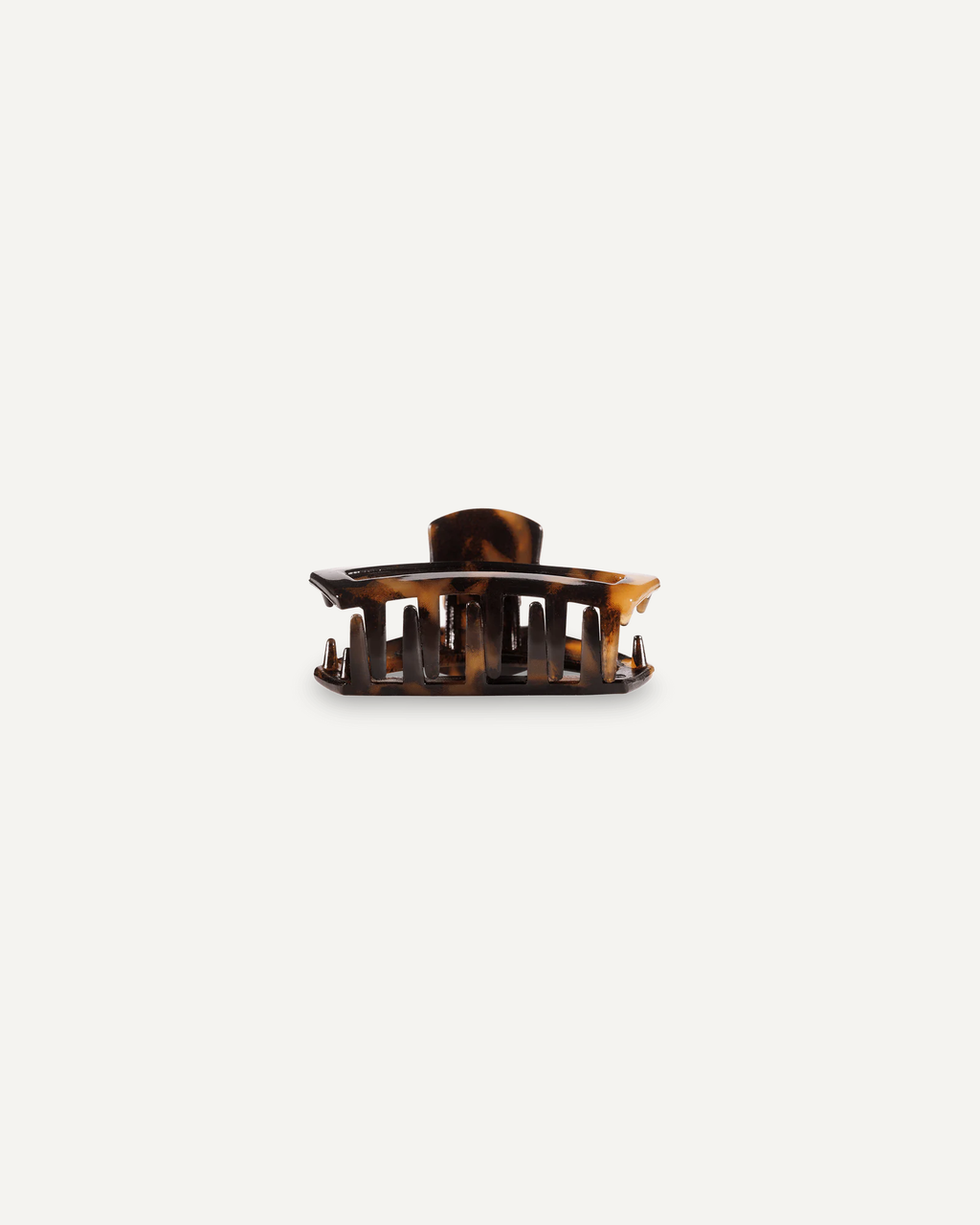 Tortoise Tiny Open Clip
