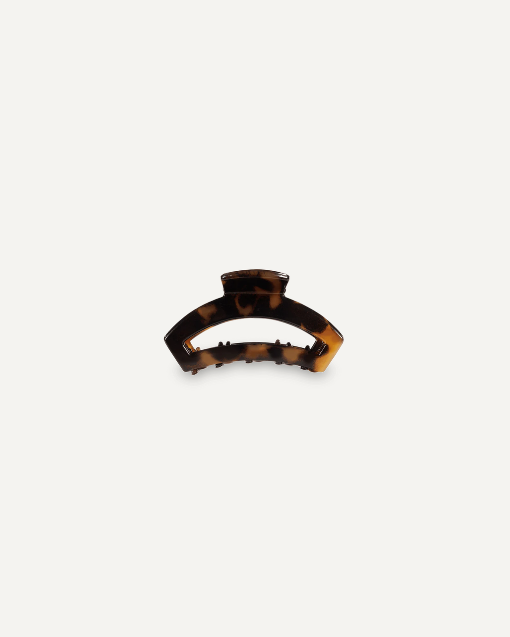 Tortoise Tiny Open Clip