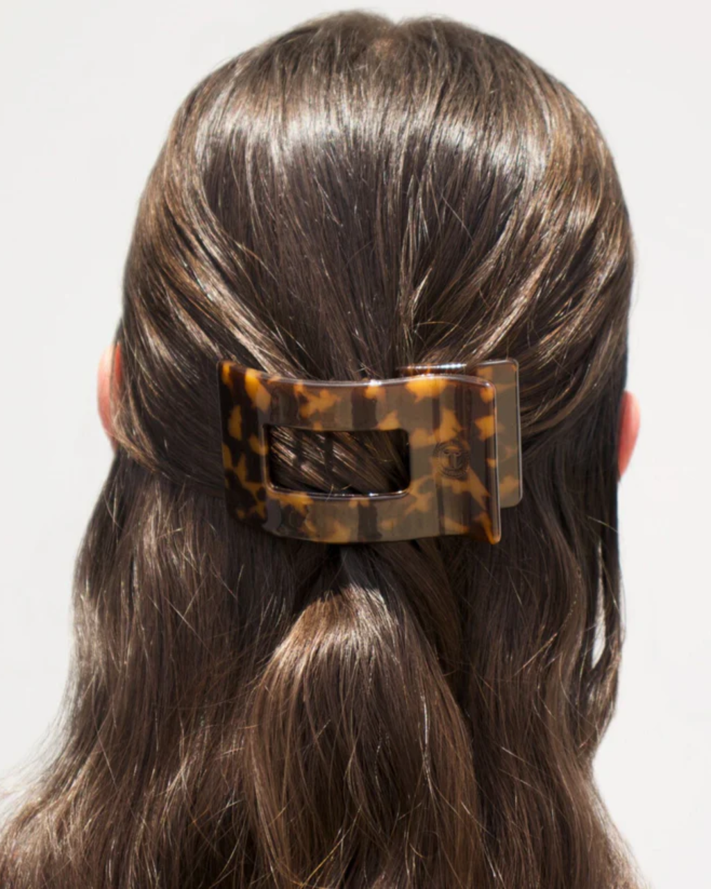 Tortoise Small Rectangle Clip