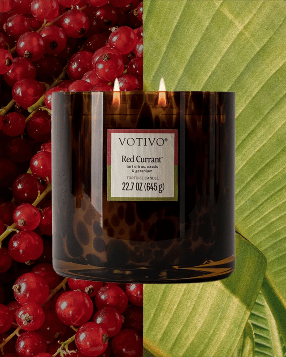 Red Currant Tortoise Candle